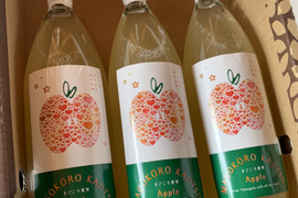 【ギフトにも！ご家庭にも！】濃厚サンふじりんご100%ジュース詰め合わせ【1L3本セット】