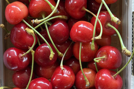 ♡350g★名和果樹園の希少！訳あり家庭用やまがた紅王【常温便】山形県東根市産さくらんぼ【話題の甘い新品種】★産地直送お取り寄せ通販★予約商品