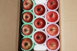 ☆3種の《ふじ》【食べ比べ】☆農薬不使用りんご入り☆3キロ（８〜１２玉）