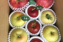 🍎ゲリラ少量販売🍎世界一、紅玉、トキ3種詰め合わせ3キロ