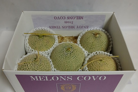 訳あり品『冬の訳ありアールスメロン』4～6個入り