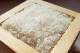 kaeruさん専用　令和3年　新米（ひとめぼれ）天日干し25㌔　玄米5分対応 楽天市場】【新米予約】【令和7年宮城米】 宮城県産 ギフト 30