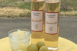 岡山県美咲町産南高梅を使った『梅シロップ』400ml×2本