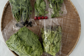 【クリスマスは豪華に時短‼️】4〜5種類入り🌱UCHIPONIFARM 🐟丸かじりおすすめ‼️サラダセット🥗