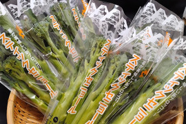 北海道産スティックセニョール　150ｇ×40袋