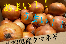 【全国生産第2位】佐賀県産タマネギ！甘い！うまい！【タケシタタマネギ】