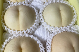 【2025年ラスト・岡山の白桃・CX（シーエックス）】ギフト★超希少晩成品種！シャキシャキ食感の硬い白桃（2kg箱）