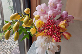 【アワード受賞福袋】箱いっぱいの蘭・フォーミディブル＆シンビジウムの切り花❁⃘*.ﾟいろんな蘭が楽しめるお楽しみ福箱