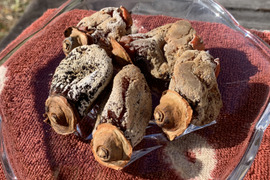 あま〜い干し柿200g〈無添加〉