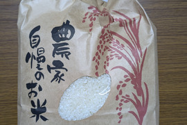 鳥取県のお米で産地直送の商品｜食べチョク｜産地直送(産直)お