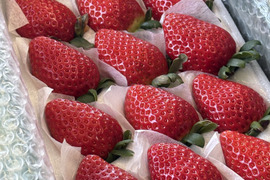 人気品種の大玉いちご！！（9～15粒）