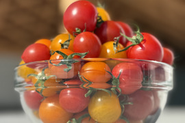 福島県大熊町産 ミニトマト食べ比べセット〈4品種・サンゴ砂礫農法〉800g〜3kg