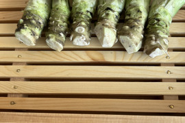 創業125年安曇野の湧水育ち。安曇野産本生わさび。ご家庭サイズ100g