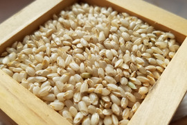 宮城県登米産　令和7年産新米　金のいぶき　2キロ