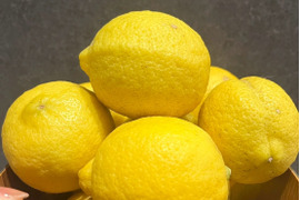 【和歌山県産】有田市からお届け！丸ごと使える自然派レモン3kg
