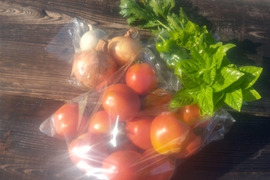 トマトソース作ろう　肥料農薬不使用。自家採種。