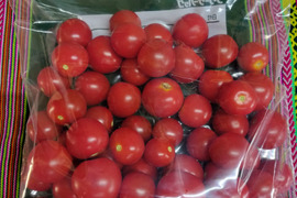 完熟冷凍ミニトマト　4ｋｇ★　パチャママ農園