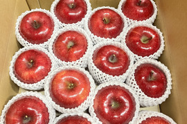 青森県産りんご　葉とらずりんご　コスモふじ　贈答用【5㎏　12～20個入り】