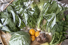 福来る！冬野菜もりもりセット！１０袋入り【ゲン担ぎ福袋】