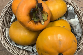 【柿1㎏】知多半島産　栽培期間中農薬不使用