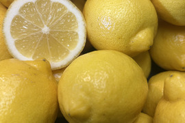 皮ごと食べれる朝採れイエローレモン6kg