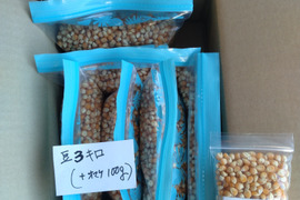 大量　まるポップコーン(500ｇ×6袋）＋おまけ100ｇ