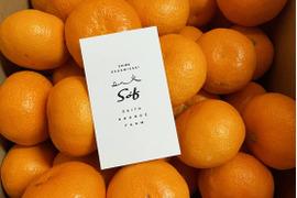 早生みかんの代表格　宮川早生（ご家庭用・5kg）