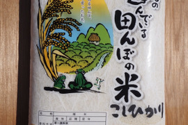 新米 令和7年 千葉県産 コシヒカリ 無洗米 10kg：千葉県産の