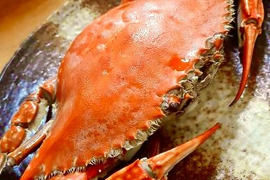 日間賀島産　ワタリガニ  1kg 採れたら即，
浜茹で発送‼︎ケジャン用冷凍も可