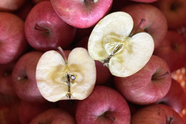 幻の蜜りんご‼️山形県産こうとく【丸かじり2キロ】