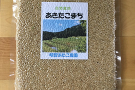 【自然栽培】あきたこまち　玄米950ｇ　お試しサイズ　農薬不使用・無肥料栽培　令和5年　岐阜県産【クリックポスト・送料差額割引中】