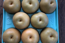 豊水　家庭用5㎏大玉12玉