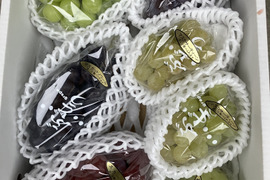 6種夢ぶどうセット　シャインマスカットと愉快な仲間たち　6種合計2.5キロ以上　富士の輝入！