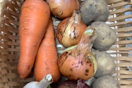 【値下げ】子どもの野菜　栽培期間中農薬不使用・自然栽培野菜カレーセット