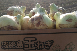【特別価格】【訳あり】淡路島新玉ねぎ5kg