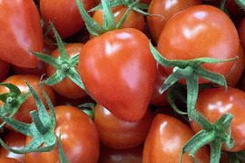 切ったらハート⁈  美味しくてかわいいトマトベリー　2kg(1kg×2箱)