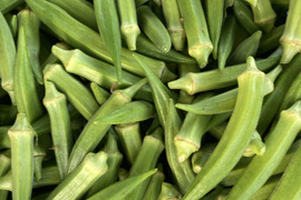 長くても柔らかいテリーヌオクラ５００ｇ