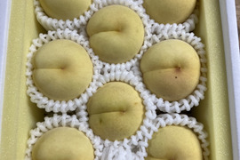 希少！ふゆももがたり（ご家庭約1.2キロ）