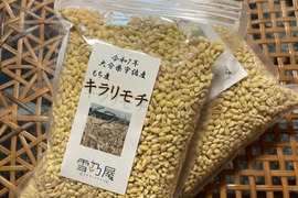 モチプチ食感　もち麦「キラリモチ」　4kg（500g×8袋）☆おまけ付