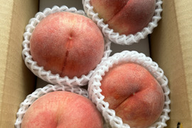 硬めのモモがお好きなあなたへ！　なつっこ　（ご家庭用1.4kg）