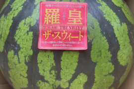 ８・千葉県・KS1482468・羅皇ザ・スイート routhesweet-1.jpg
