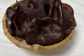 福岡県糸島産生きくらげ約500g