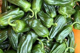 西日本一の夏秋ピーマン産地大分のピーマン　１キロ