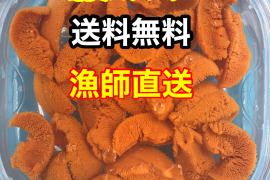 （実質送料無料）蝦夷バフンウニ（北海道利尻島産）１パック 70g