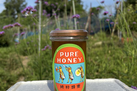 R8.みつばちからの夏の贈りもの西洋蜜蜂の夏蜜
大阪産　BEE GARDENの生はちみつ