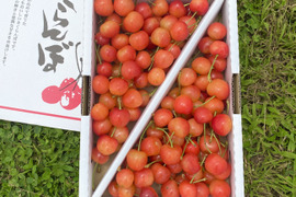 【紅秀峰】家庭用1kgバラ詰め♪たっぷり大満足の食べ応え✨