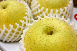 【幻の梨⁉️かおり梨】贈答用約2.5kg(特大2~4個入)✨️メロンのような甘い香りでとってもフルーティー✨シャキシャキでキメ細か✨️豊水にも負けない果汁量💦