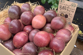 🌺訳あり数量限定《 はねだしセット 》
【有機JAS認証】オーガニック芳醇パッションフルーツ/『はねだし3kg¥6500』/そのまま食べてもお菓子づくりや加工にも◎/30個〜50個/傷シワ色むら
