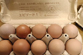 放牧卵！若のレボリューション！海外飼料不使用、自家製発酵飼料