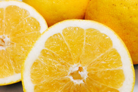 【予約】河内晩柑〈秀品・ギフトBOX〉6玉　※発送は4月上旬頃～